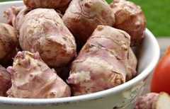 Quels sont les bienfaits du topinambour ?