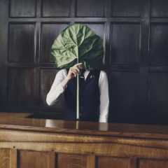 A member of staff stands behind a wooden bar holding a large young rhubarb leaf by the stem, which covers his face.