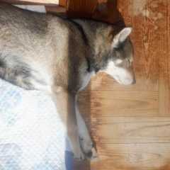 久し振りに高浜