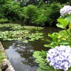 島根の小泉八雲ゆかりの地(4)月照寺「松平直政の墓」