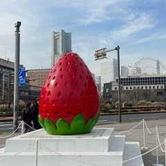 【シルバニア横浜おでかけレポ】ヨコハマストロベリーフェスティバル2026