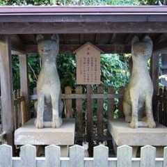 【ばけばけ】 ほのぼのとしたお狐様は 小泉八雲のお気に入り