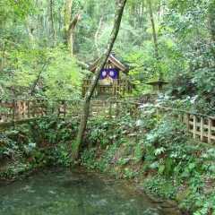 八重垣神社の鏡の池占いは当たったのか？