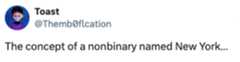 Tweet text: "The concept of a nonbinary named New York..."