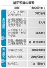 補正予算の概要