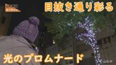目抜き通り彩る「光のプロムナード」　山形県山形市