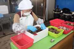 ひがた美人の出荷作業をする従業員＝中津市小祝