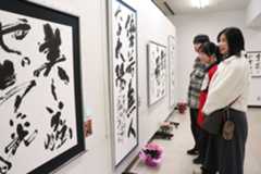 遊び心のある作品が並ぶ尚真書展=徳島市のあわぎんホール