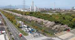 日本製鉄九州製鉄所大分地区の敷地境界に広がる「郷土の森」＝同社提供