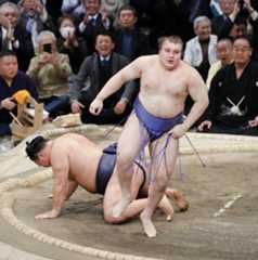 大相撲九州場所千秋楽の優勝決定戦、豊昇龍（左）を送り投げで破り、初優勝を決めた安青錦＝23日、福岡市の福岡国際センター