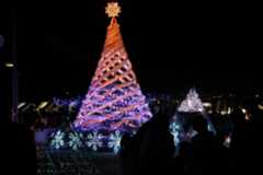 高さ5メートルのクリスマスツリーを中心としたイルミネーション=石井町高川原のOKいしいパーク