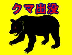 クマの目撃情報
