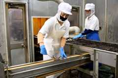 田原缶詰の工場で作業するベトナム人技能実習生たち=2025年10月7日