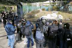 中国への返還発表後、初の来園日を迎え、ジャイアントパンダを観覧する人たち=16日午前、東京・上野動物園