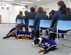 3頭の嘱託警察犬と、その指導者ら=10日、奈良市登大路町の県警本部