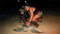 Dunya News From hunters to guardians: Angolan villagers help to save endangered sea turtles