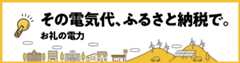 家庭の電気をふるさと納税で お礼の電力