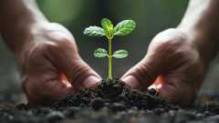 기술 기업의 지속가능한 미래