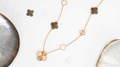 2025년 홀리데이 에디션