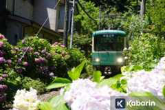 Berbagai jenis transportasi umum yang ada di Jepang beserta biayanya