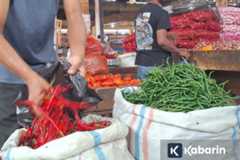 Harga cabe merah di Aceh meroket hingga Rp200 ribu per kilo