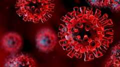 Centro de información sobre el coronavirus (SARS-CoV 2)