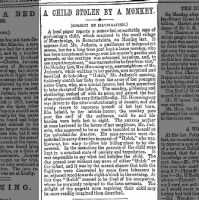 A Child Stolen by a Monkey