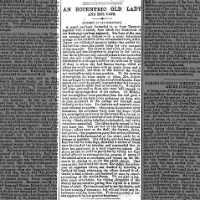 An Eccentric Old Lady and Her Cats