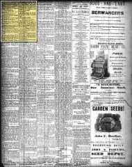 The News and Observer