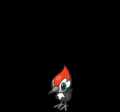 Pikipek