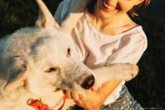 犬・愛犬・飼い犬・飼い主