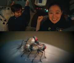 500억이 아깝다…섹스·정자·난자 이야기뿐, 이민호·공효진 베드신도 '혹평' [TEN스타필드]