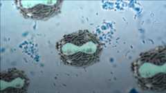 What to know about Polio: Symptoms and prevention