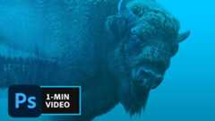 How to Make a Double Exposure Effect in Photoshop | Adobe Creative Cloud - YouTube