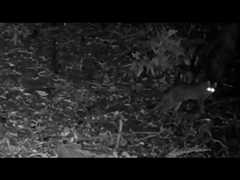 Reclaiming the high ground