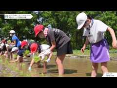 不動岡小学校｜田植え体験