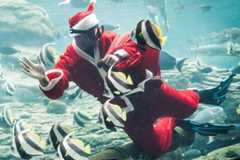 Weihnachten: Mit Nichten reden?