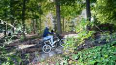 "Was jetzt?"-Newsletter: UN-Klimagipfel, Fußball-WM, Trump auf Twitter