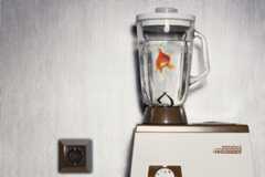 Küchengeräte: Manche Küchengeräte können wenigstens zweckentfremdet werden. Die meisten verstauben dagegen im Schrank.