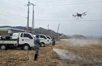  S. Korea reports 15th African swine fever case this season