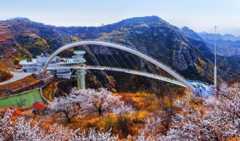 赏花季，淄川这些地方美如画
