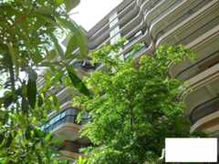 中澳新城御湖居实景图图片