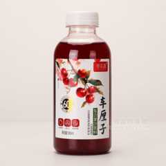 豫浪鑫车厘子复合果汁饮料500ml招商