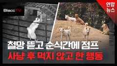 [BlaccTV] "죽은 염소가 자꾸 꿈에 나와 폐업합니다"…버려진 개들의 역습