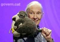 [아프리카는] (99)제인 구달의 고별 메시지 "포기 말고 당신 몫 해내세요"