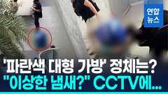 [영상] 베트남서 대형가방 속 시신 '충격'…CCTV 찍힌 한국인 2명 체포