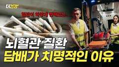 담배가 뇌혈관에 치명적인 이유