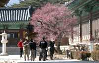 부산·울산·경남 맑고 건조…낮 최고 20도