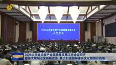 2025山东省文旅产业高质量发展工作会议召开 塑强文旅融合发展新优势 努力打造国际著名文化旅游目的地
