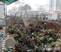 香港花园效果图